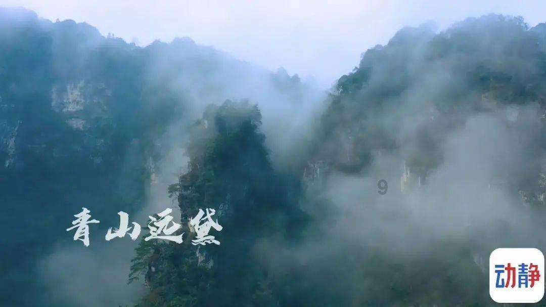 发现冷知识的你弟弟已经跟几个同学开公司四五年，你回去觉得创业不稳定吗？平台，独特而有趣